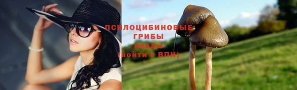 гашишное масло Осинники