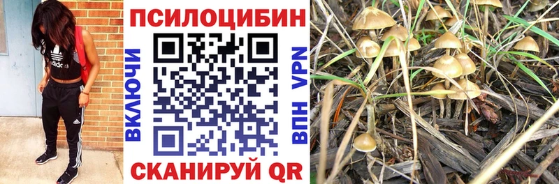 Псилоцибиновые грибы прущие грибы  Благовещенск 