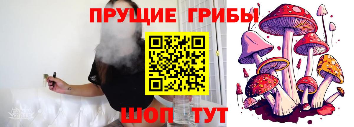 Галлюциногенные грибы Psilocybe  Вход с VPN  Благовещенск  Псилоцибиновые грибы GOLDEN TEACHER 